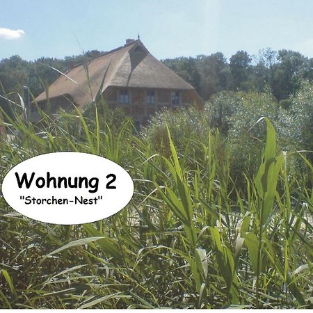 Alte Schule Ludwigsburg Apartment Loissin Bilik gambar